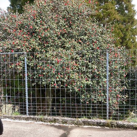 Apartament 体験型農家民泊「お陽さまと風」 Bungoono Zewnętrze zdjęcie